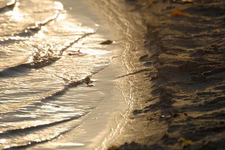 Namiddagzon op het strand