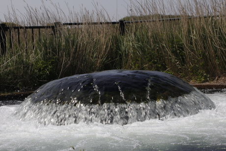 drink water gebied duinen heemskerk