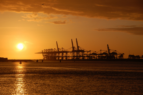 Euromax terminal Maasvlakte