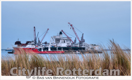 Citylife Rotterdam - Maasvlakte