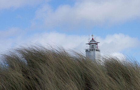 weekend noordwijk07053.jpg