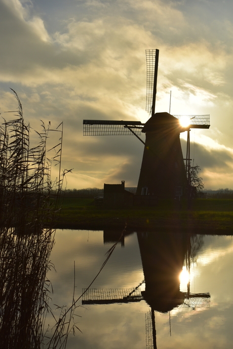 Mooie Molen in Kinderdijk