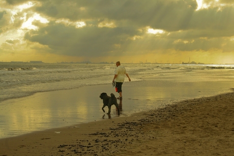 zee, strand en vlissingen