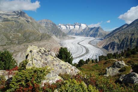 Aletsch