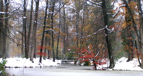 snowy autum 2005