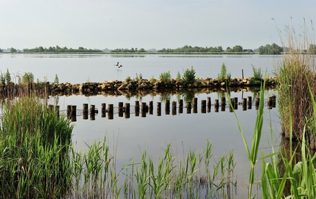 Schildmeer