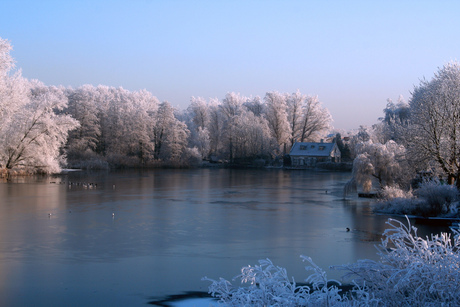 Winterlandschap