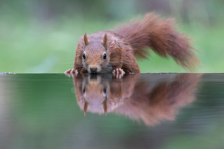 Spiegeltje, spiegeltje!