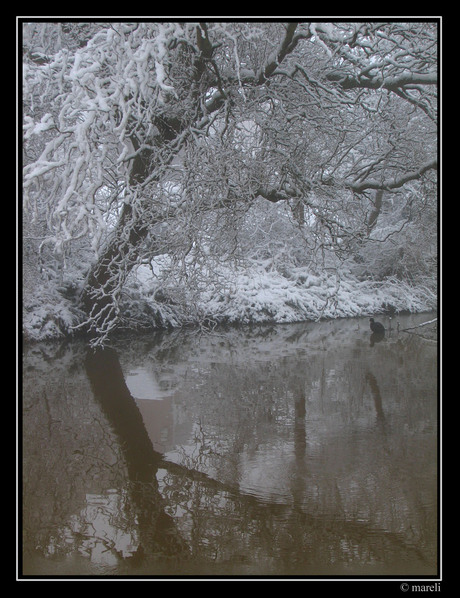 Sneeuwlandschap