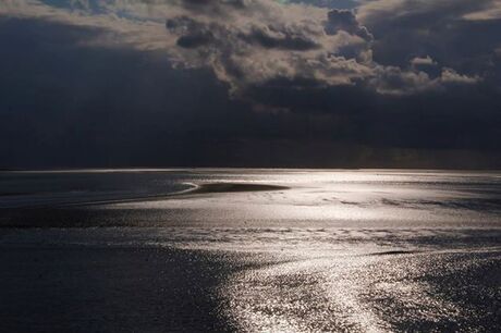 Waddenzee bij laag water