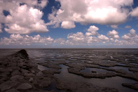 Waddenzee