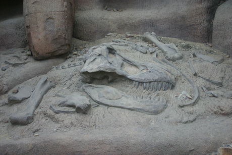 dinosaurus