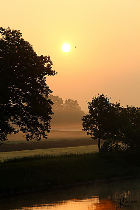 zon opkomst