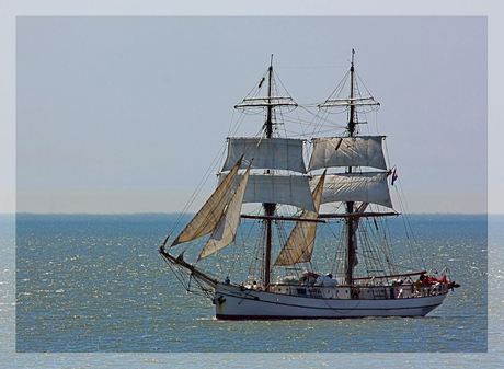 Caribisch Vlissingen