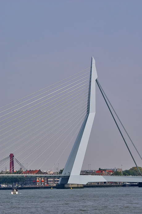 Erasmusbrug