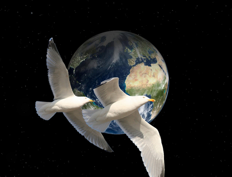 De aarde in vogelvlucht
