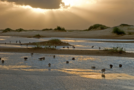 Horsduinen