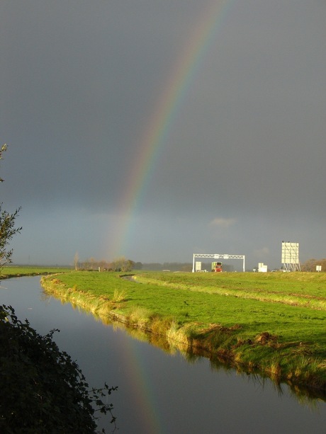 Regenboog