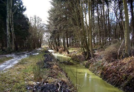 Een heerlijke dag in het bos