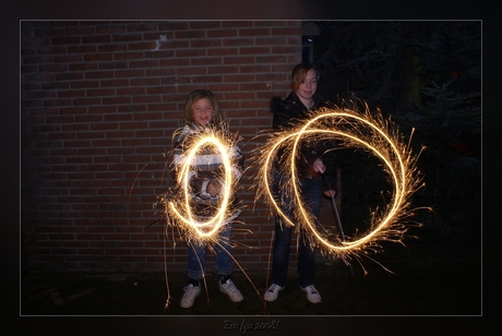 Fijn 2008