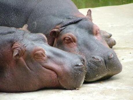 ...omdat ik zoveel van je hou...