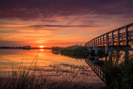 Zonsondergang bij het Dannemeer