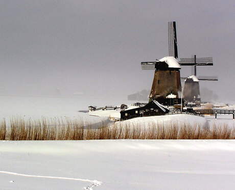 Wachten op wind