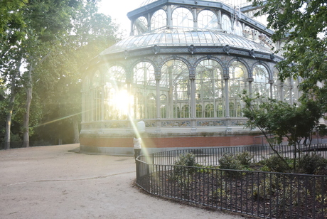 The sun through the glass