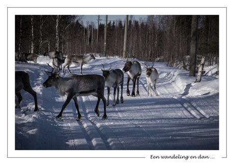 wandeling