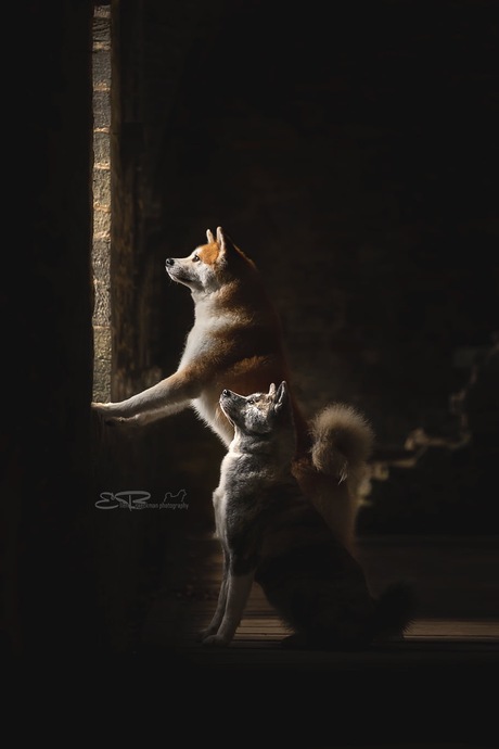 I do not need you to light up my world ... just sit with me in the dark