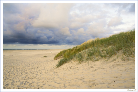 Strand Terschelling