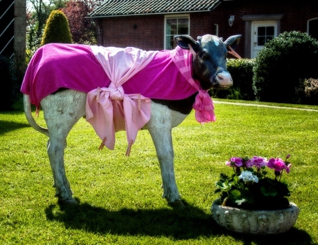 La Mucca Rosa