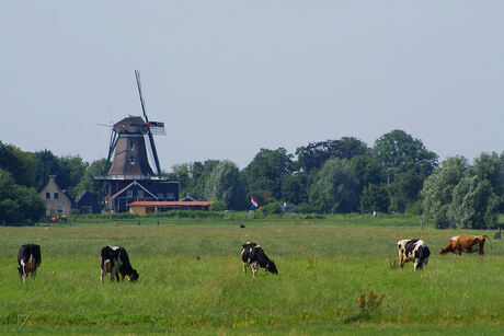 Holland