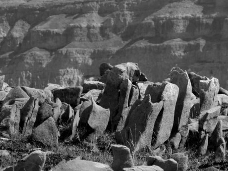 Ik zie ik zie wat jij niet ziet