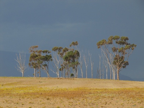 Landschap Zuid Afrika