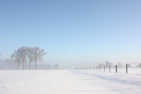 winter in de mist