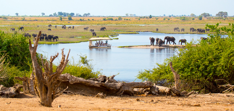 Botswana Chobe NP_0001.jpg