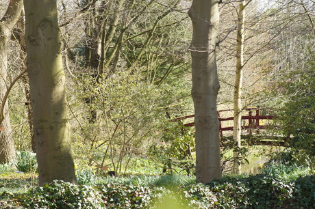 Arboretum Oudenbosch