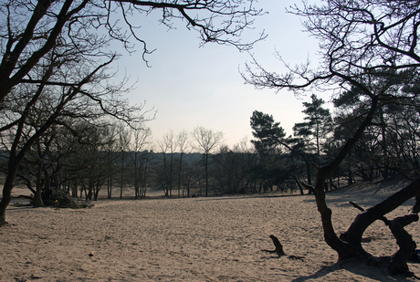 Lente in Nederland