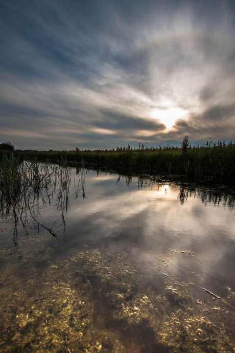 Groningse Polder