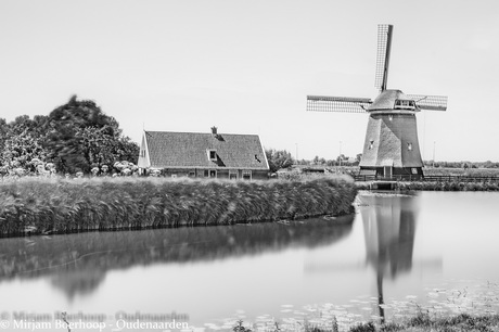 Viaanse molen