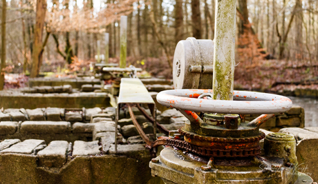 Watermanagement in het Waterloopbos