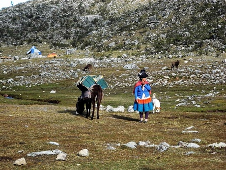 Reisgezelschap in de Andes
