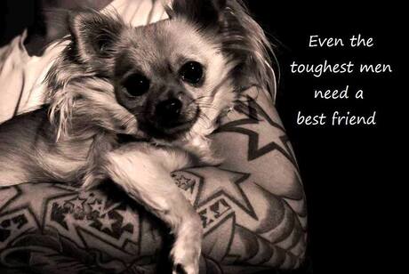 Even the toughest men need a best friend