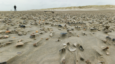 schelpenstrand