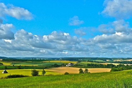 Mijn heuvelland