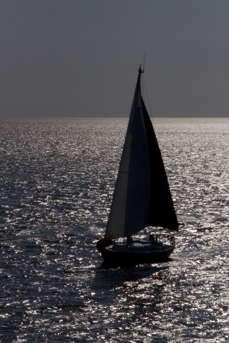 Sailing home