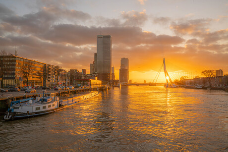 Golden hour Rotterdam