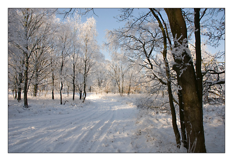 Winters Limburg