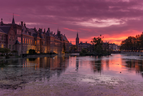 Binnenhof Golden Hour